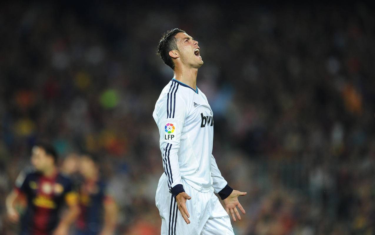 阵容公布 阵容公布